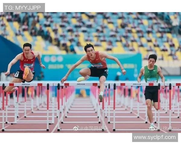 奥运会田径跨栏项目的技术难点分析与科学化训练方法研究