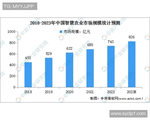 深度解析世界杯预选赛当前形势及未来走势全面预测