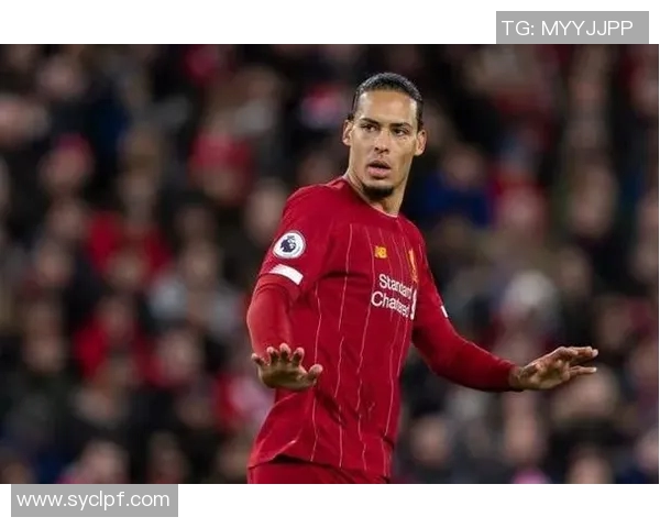 五年数据进化对比范戴克全面蜕变彰显统治级防守表现 五年数据进化对比范戴克全面蜕变彰显统治级防守表现