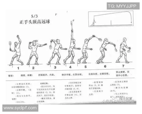 羽毛球比赛技术动作解析及训练指导
