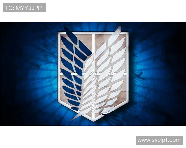 深度解析最新伤病名单动态及未来恢复走势全面预测